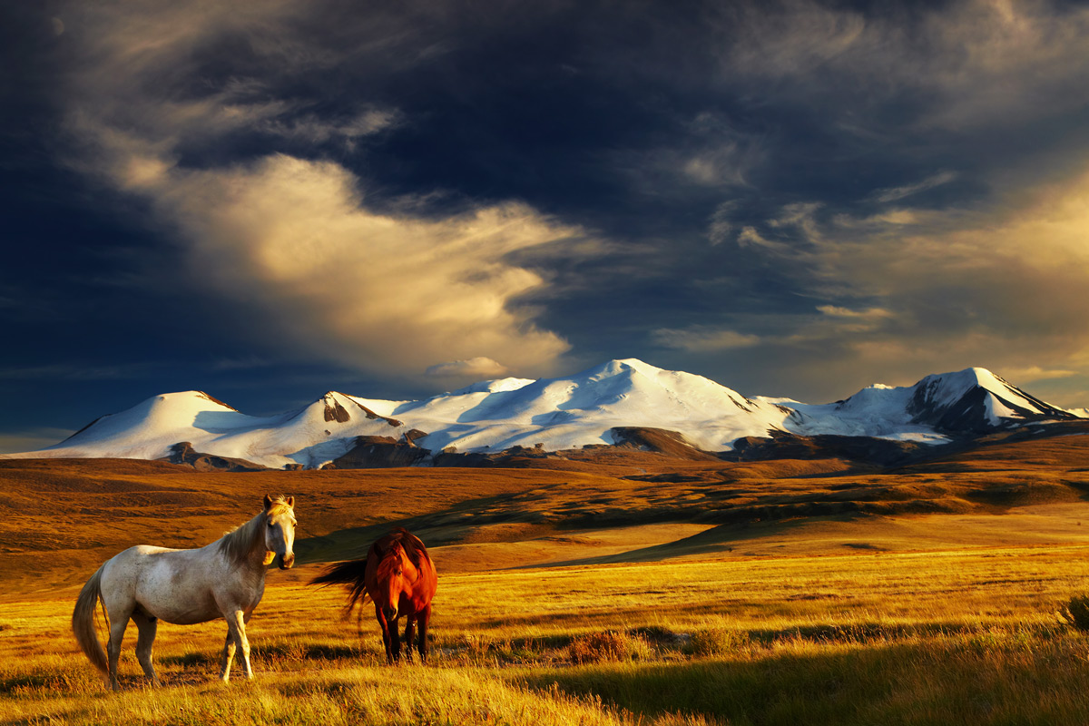 Etik Seyahat Rehberi