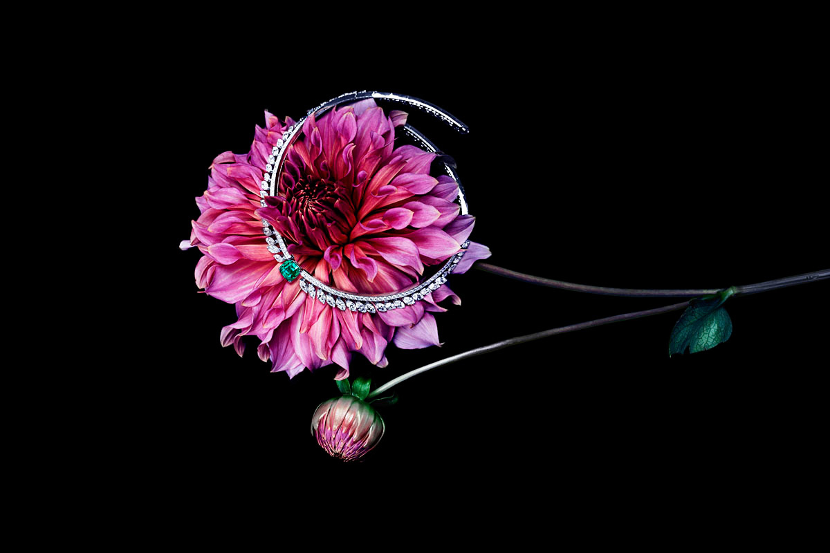 Işıldayan Mücevherlerin Büyülü Dünyası