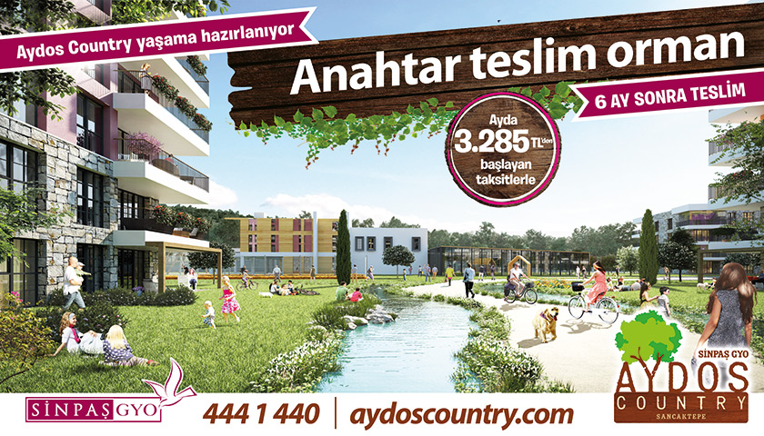 aydoscountry_28