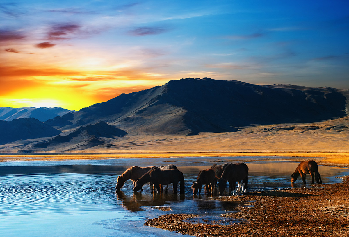 Moğolistan’da Keşfedilmeye Değer Bir Vaha: Terelj