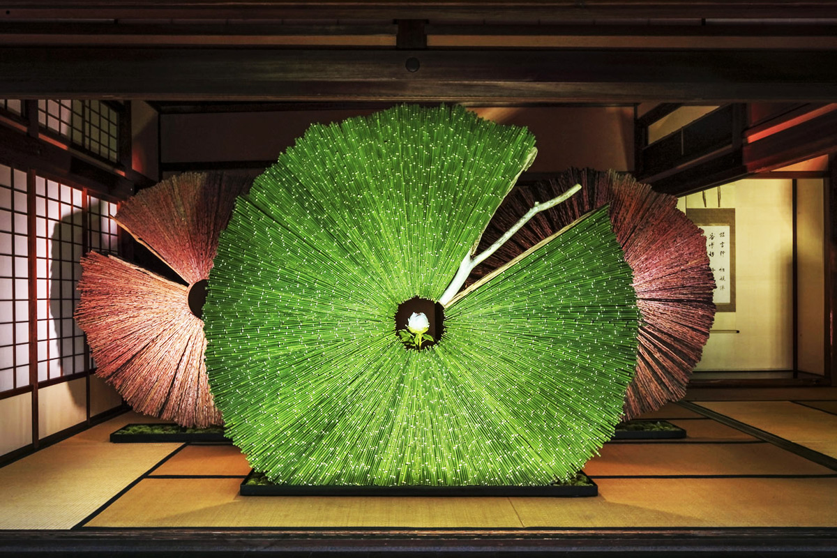 Avangart Çiçekçilerden Sanatsal Tasarımlar