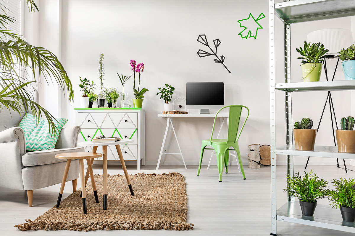 Hayatınızı Kondo layın