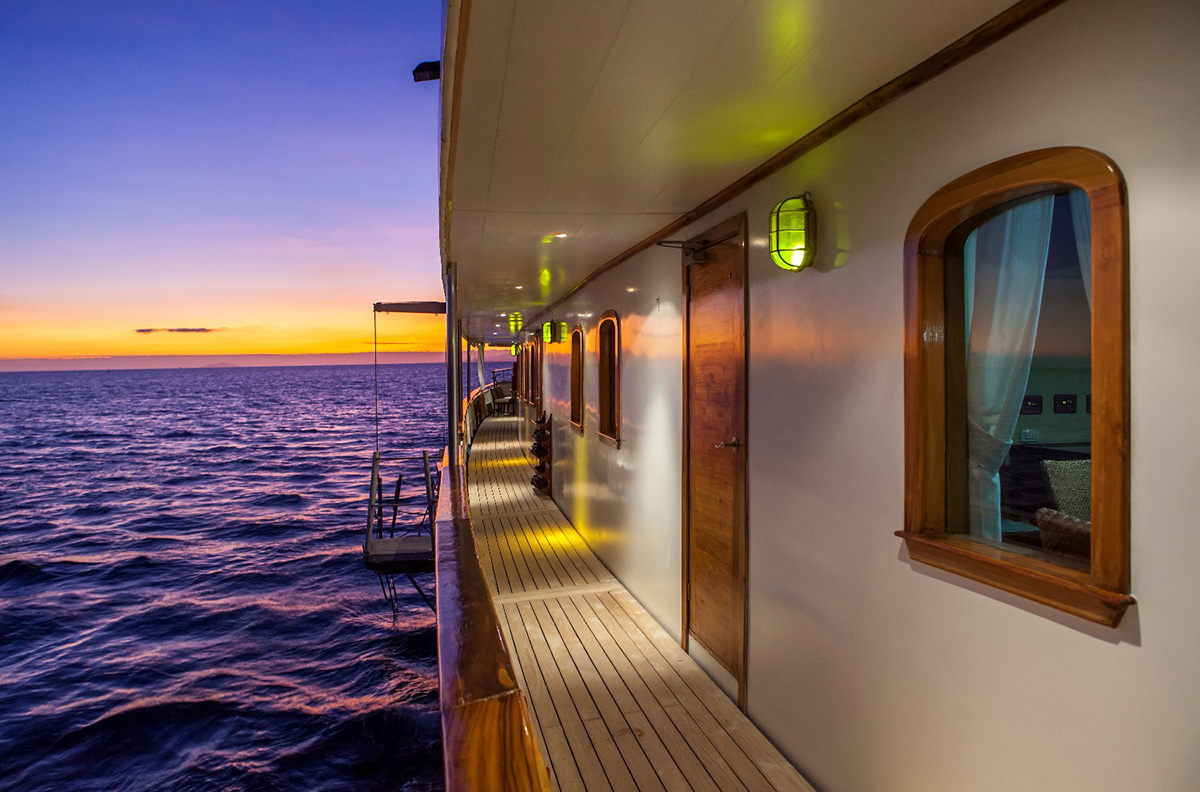 Grace Kelly’nin Yatıyla Darwin’in İzinde