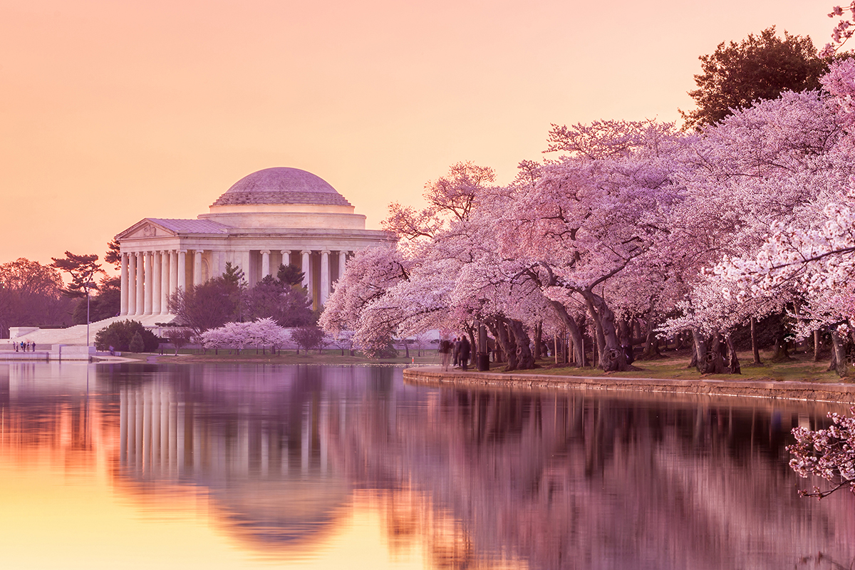 Koltuğunuzdan Kalkmadan Dünyayı Gezin